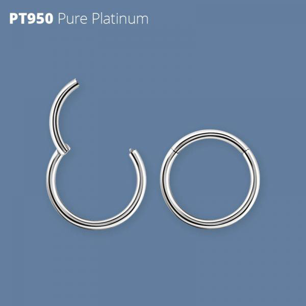 PLATINUM 950 HINGED SEGMENT RING