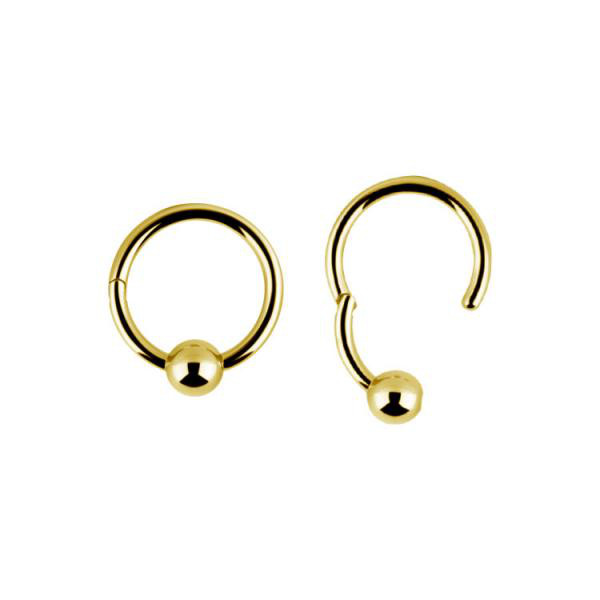 24K GOLD PVD SS316L HINGED BCR RING