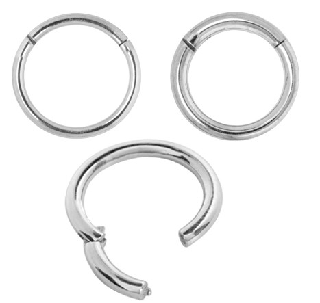 SS316L HINGED SEGMENT RING