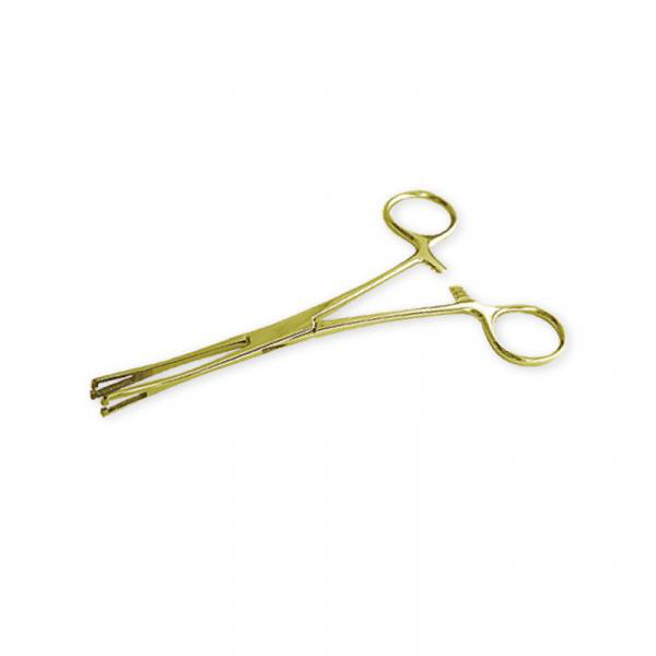 24K GOLD PVD SMALL SLOTTED PENNINGTONS