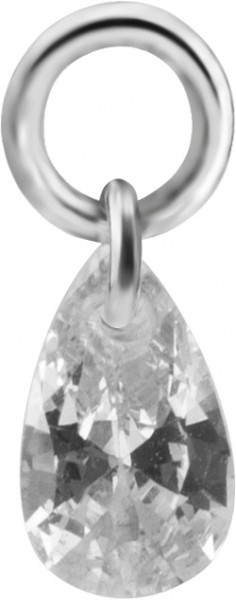 SS316L CHARM FOR HINGED SEGMENT RING