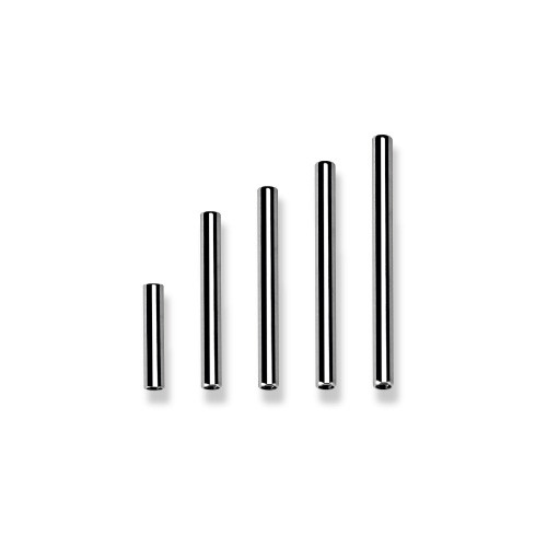 TITANIUM INTERNAL STRAIGHT BARBELL PINS