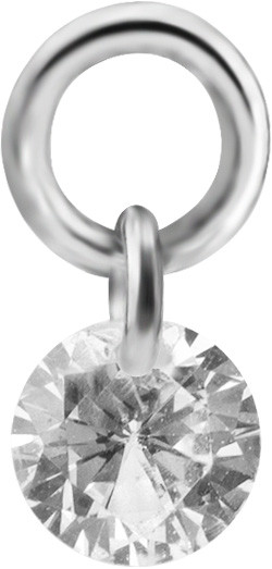 SS316L CHARM FOR HINGED SEGMENT RINGS