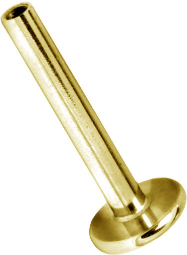 24K GOLD PVD SS316L INTERNAL MICRO LABRET PIN