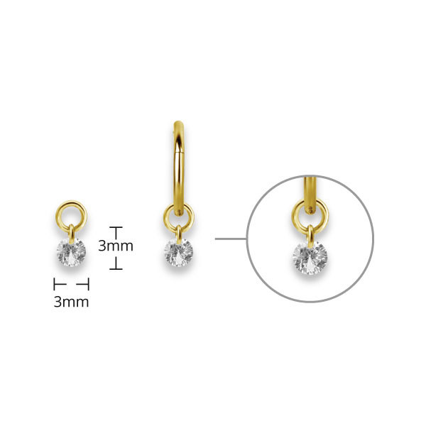 24K GOLD PVD SS316L CHARM FOR HINGED SEGMENT RING