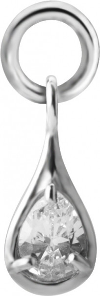 SS316L CHARM FOR HINGED SEGMENT RINGS