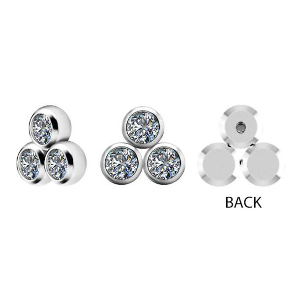TITANIUM CLUSTER INTERNAL MICRO ATTACHMENT SET W. PREMIUM ZIRCONIA