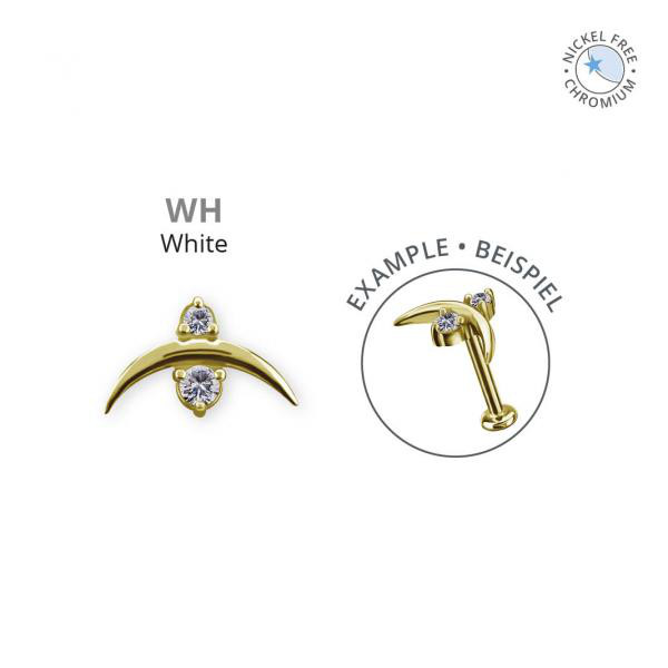 18K GOLD PVD CoCr NF INTERNAL MICRO ATTACHMENT SET W.PREMIUM ZIRCONIA